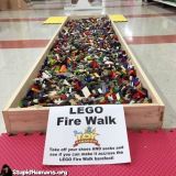 NEW GALL LEGO.jpg